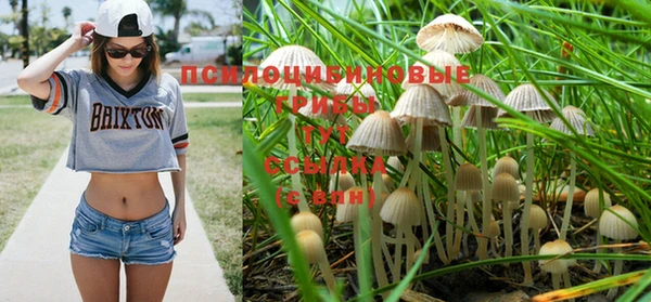 ешки Абаза