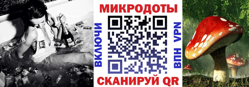 Псилоцибиновые грибы Psilocybine cubensis  Альметьевск 