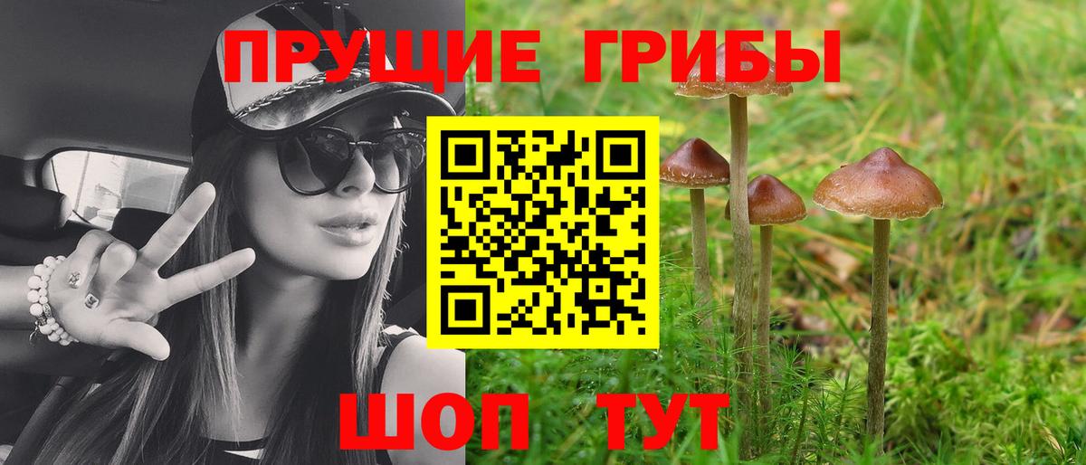 Псилоцибиновые грибы MAGIC MUSHROOMS  Вход с VPN  Альметьевск  Галлюциногенные грибы Magic Shrooms 