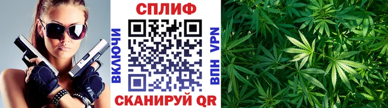 где можно купить наркотик  сайты даркнета официальный сайт  Бошки Шишки марихуана  Альметьевск  OMG ССЫЛКА 